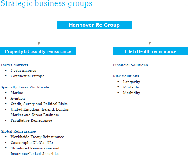 Strategic business groups